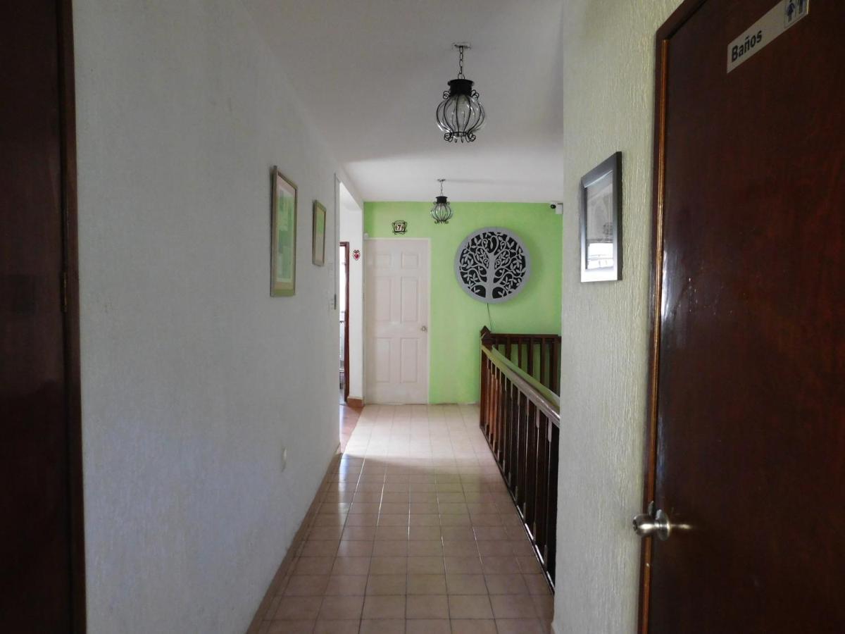 Casona Luciernaga-Casa De Huespedes Konuk evi León Dış mekan fotoğraf